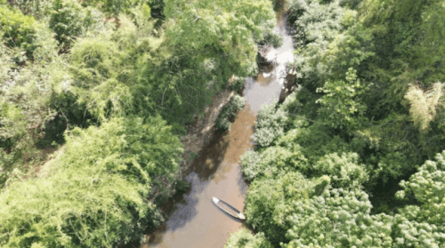 Phiêu Lưu Tại Mã Đà: Nơi Giao Thoa Giữa Đất Rừng Và Sông Xanh của Đồng Nai - Bình Phước