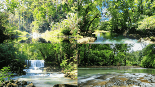 Lạc Vào Vườn Quốc Gia Bù Gia Mập - Thiên Đường “Xanh” Tại Bình Phước, Đồng Nai