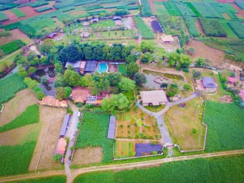 Không Cần Lên Núi Cao Hay Xuống Biển Sâu, Wonder Farm Có Đủ Thứ Bạn Đang Cần