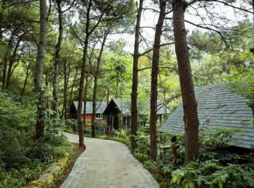 Amaya Retreat Sóc Sơn: Chốn Bình Yên Giữa Rừng Thông Hà Nội