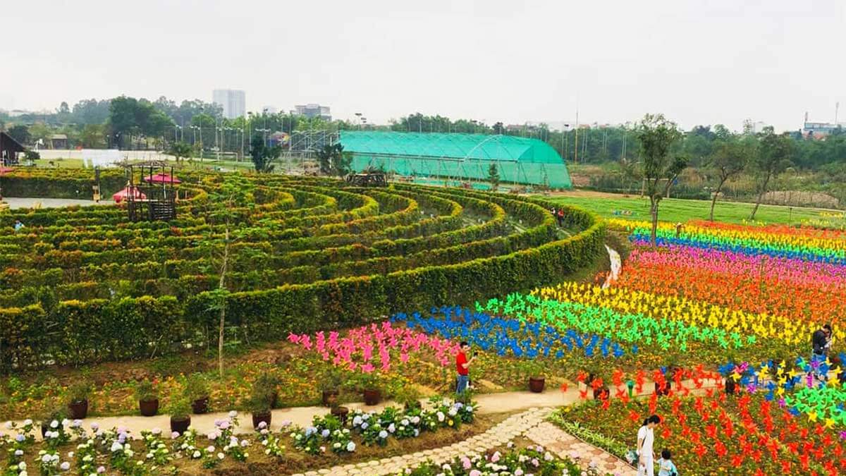 Công Viên Hoa Hồng Rose Park: Tận Hưởng Không Gian Xanh Mát Và Sắc Hoa Rực Rỡ
