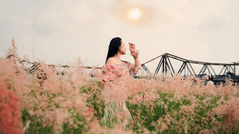 Lặng Ngắm Bãi Cỏ Hồng – Thiên Đường Ảnh Sống Ảo Mới Tại Hà Nội