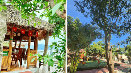 Không cần đi xa, vẫn chill “tới bến” ở Vườn sinh thái Hương Tràm – Sóc Sơn