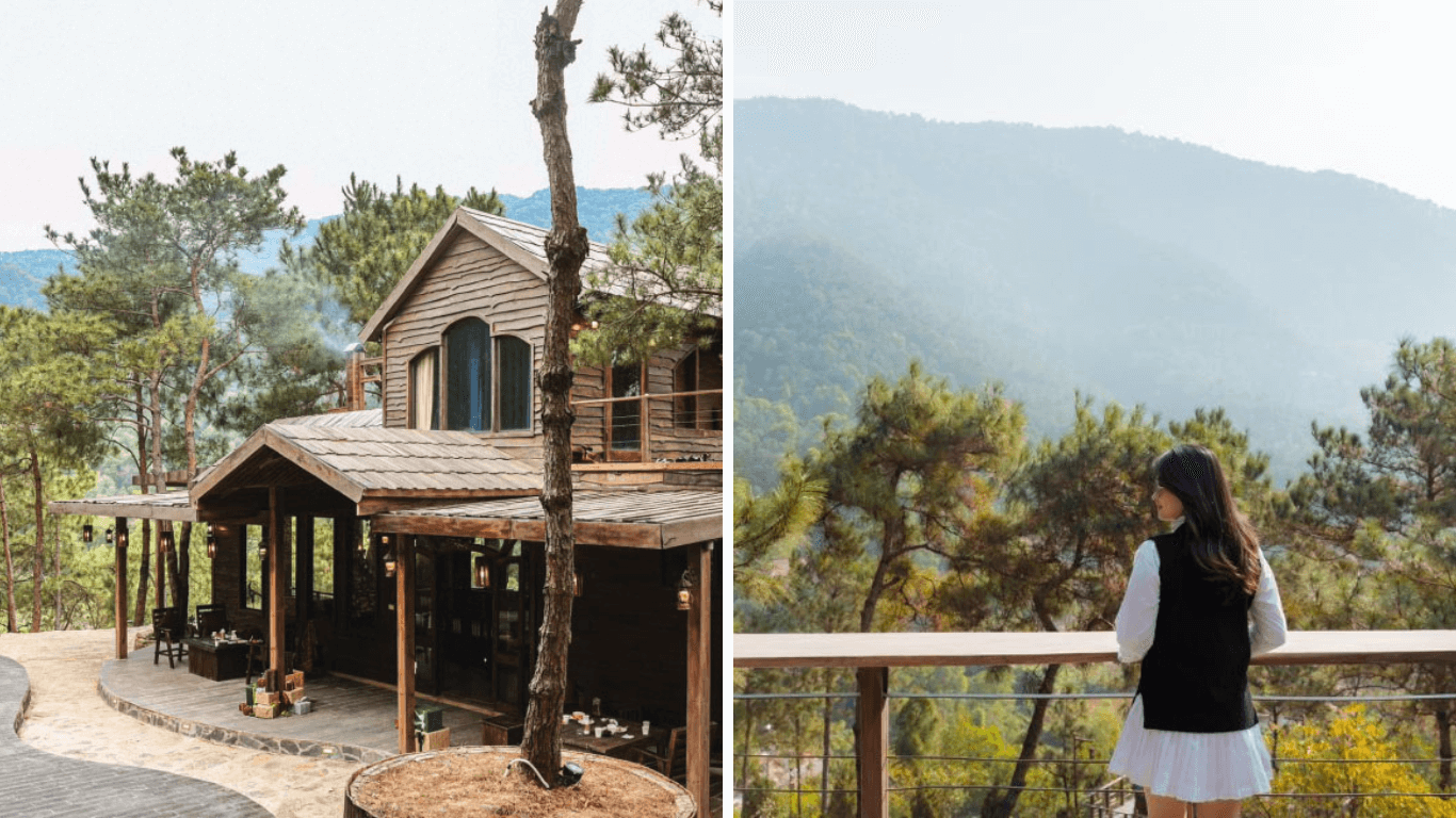 Du Lịch Đồi Llum: Trải Nghiệm Ngay Giữa Những Cánh Rừng Thông Xanh Mát