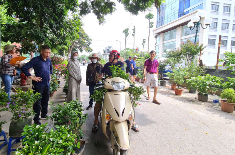 Đến Chợ Hoa Cây Cảnh Vạn Phúc, Tận Hưởng Không Gian Tươi Mới Giữa Lòng Hà Nội