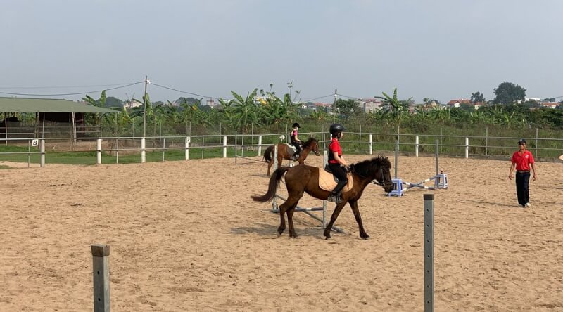 Cuối Tuần Thư Giãn Tại Hanoi Horse Riding Club Với Môn Cưỡi Ngựa Chuẩn Châu Âu