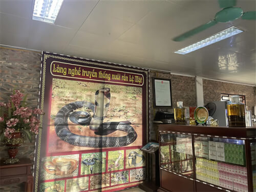 Lệ Mật – Ngôi Làng Giữa Lòng Hà Nội Nơi Nghề Nuôi Rắn Lâu Đời Vẫn Tồn Tại