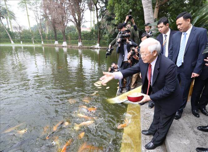 Ao Cá Bác Hồ: Vẻ Đẹp Giản Dị Lay Động Lòng Người