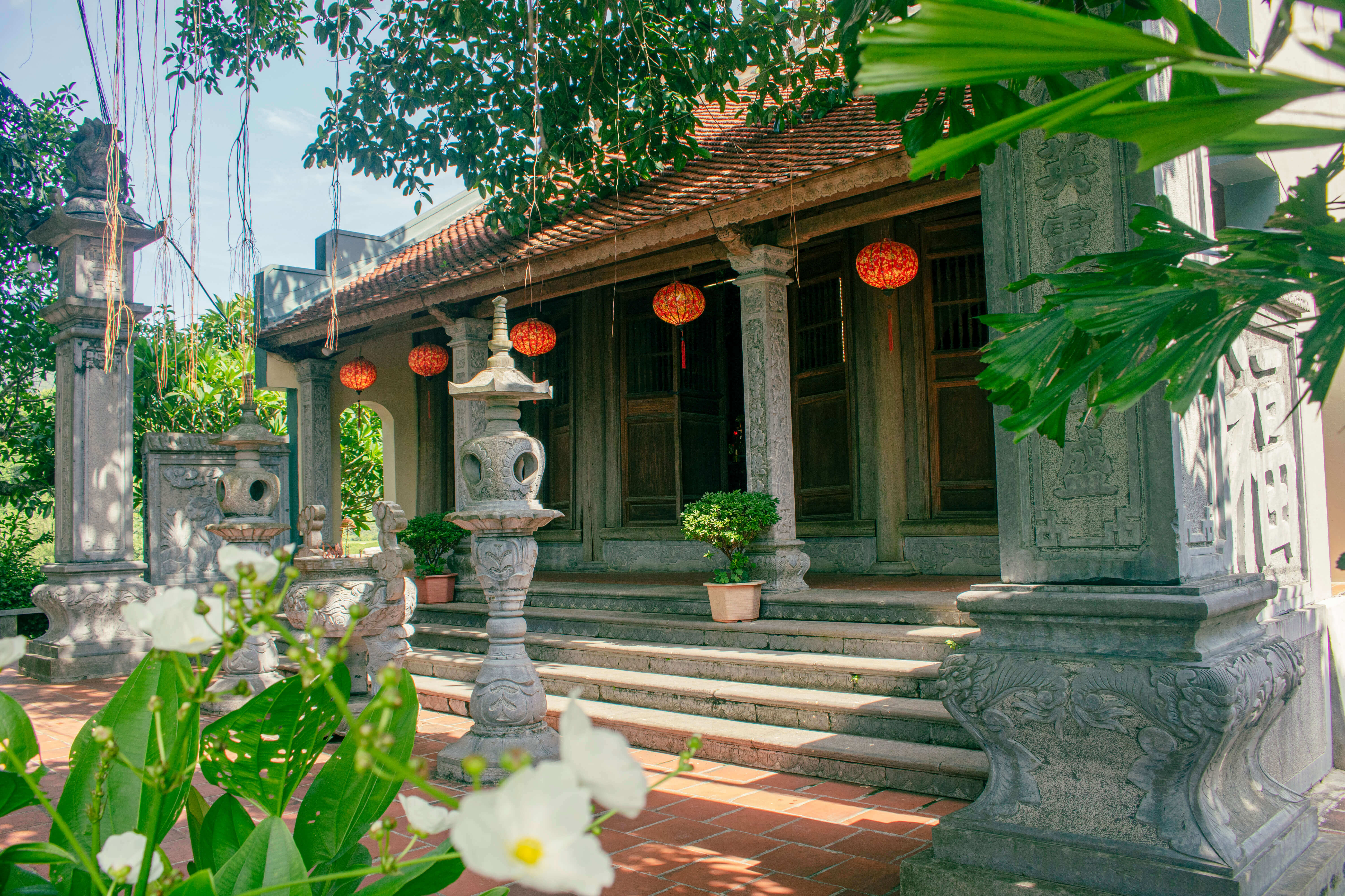 数千年的树木和戴神庙的传说