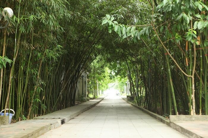 Ngỡ Ngàng Vẻ Đẹp Cổ Kính Của Đền Trúc – Ngũ Động Thi Sơn