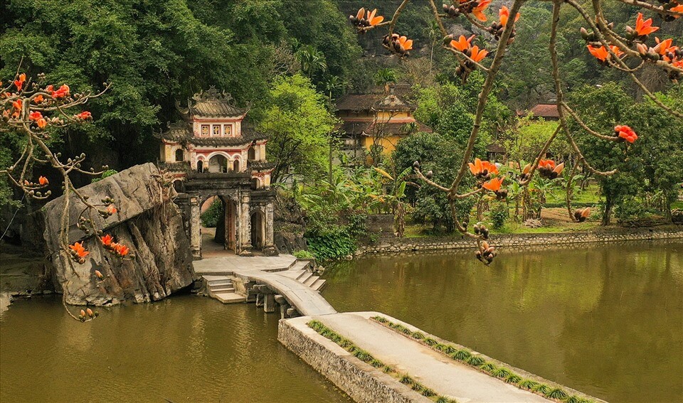 Chuyến Hành Trình Đến Ninh Bình Ngắm Hoa Gạo – Nét Đẹp Nguyên Sơ Và Thơ Mộng