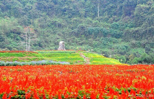 Đảo Hoa Thung Nham: Nơi Mỗi Mùa Mang Một Vẻ Đẹp Mới Lạ