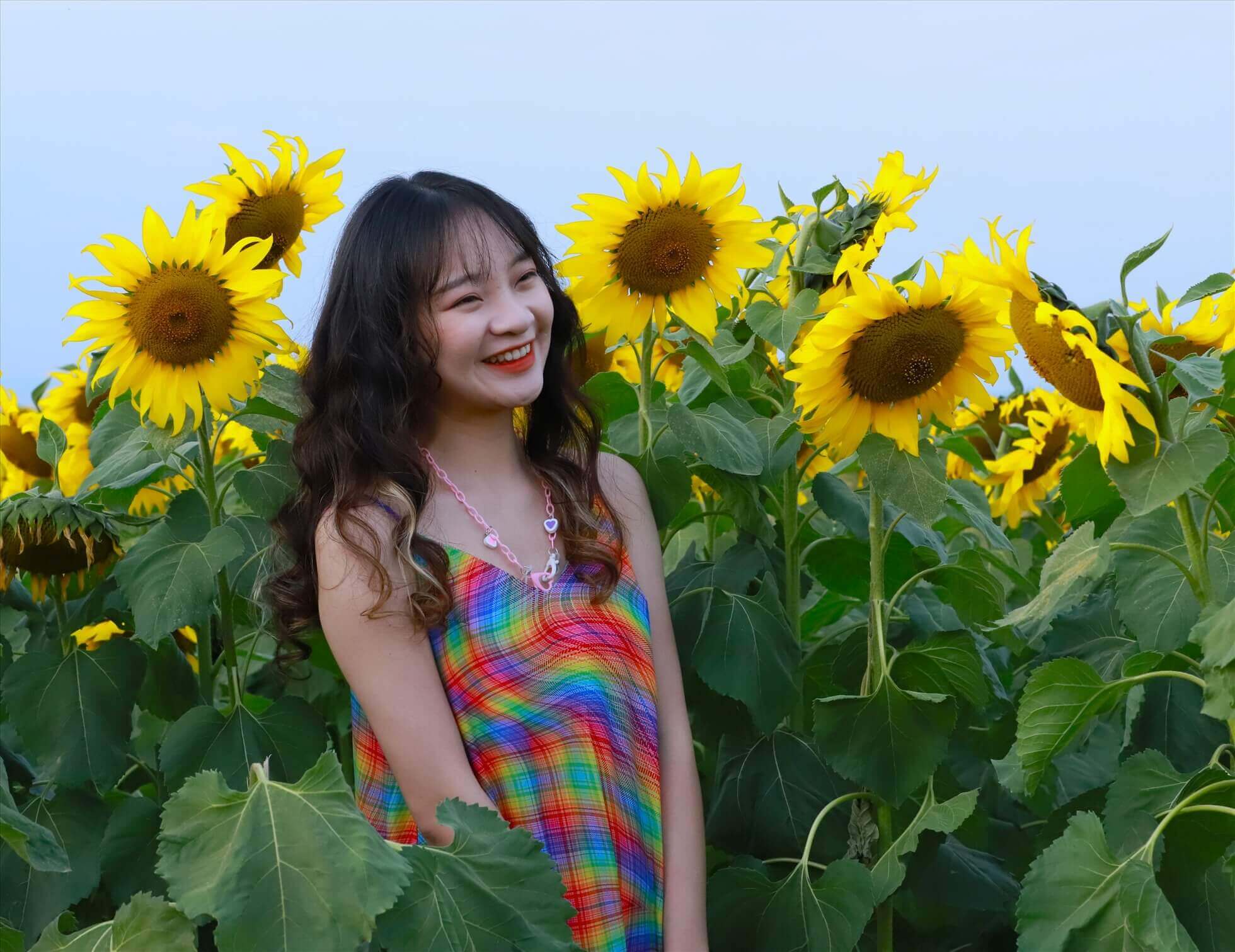 Hòa Mình Vào Cánh Đồng Hoa Hướng Dương Rực Rỡ Tại ViFarm