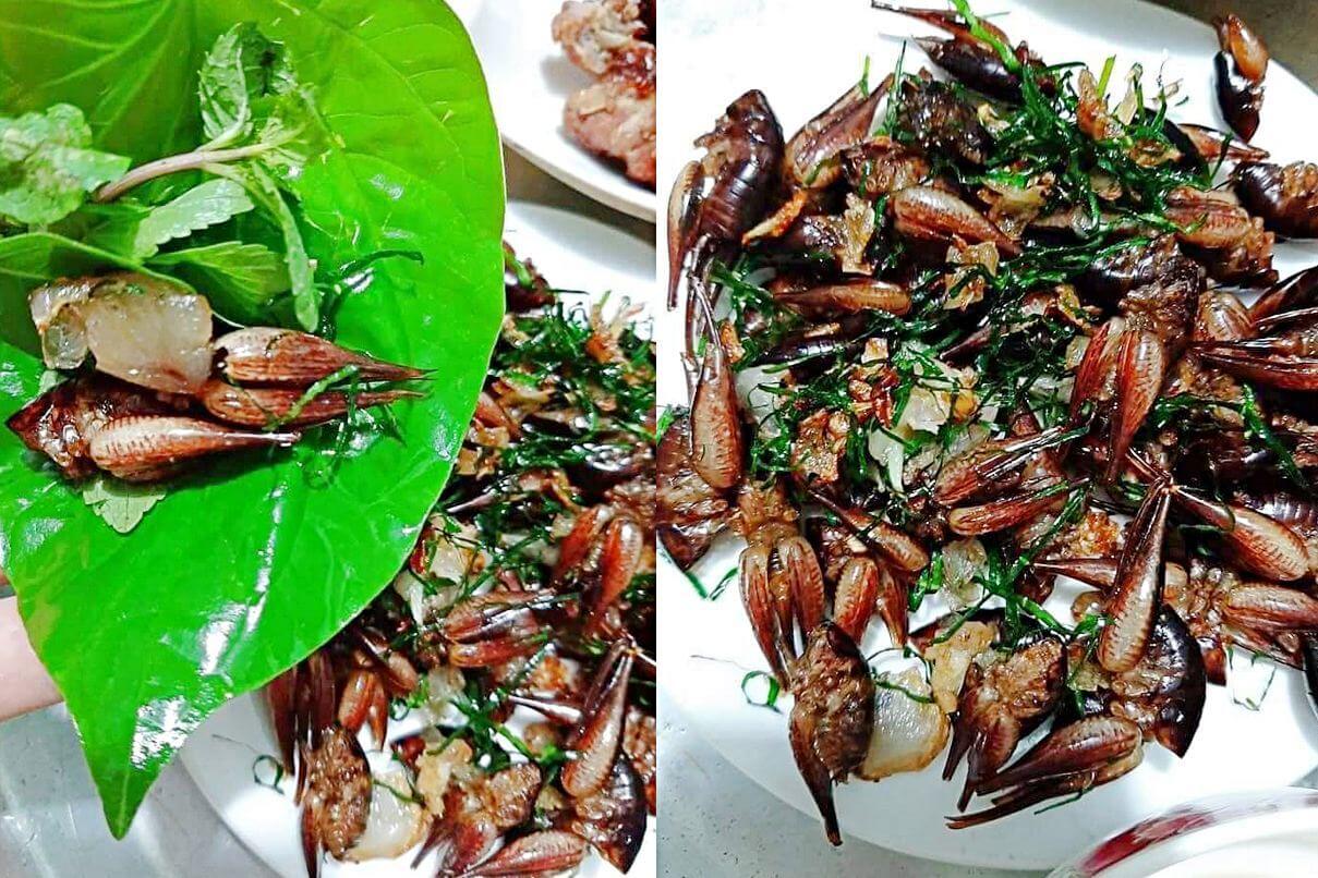 Chôm Chôm Rừng Chiên Xù: Món Ăn “Lạ Mắt, Lạ Miệng” Không Thể Bỏ Qua Ở Ninh Bình