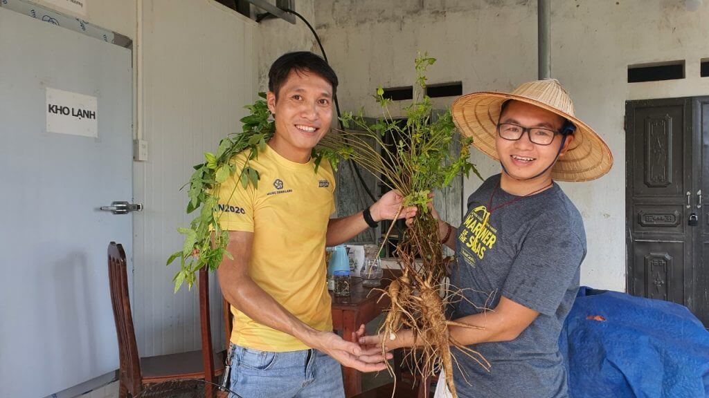 Trải Nghiệm Canh Tác Hữu Cơ Cùng HTX Sâm Cúc Phương