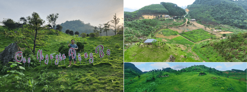 Cao nguyên Đông Bo – Điểm đến dã ngoại hấp dẫn tại Thái Nguyên