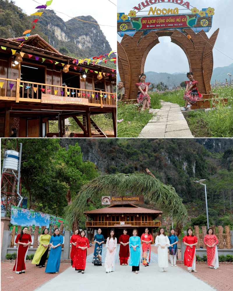 Mỏ Gà Noọng Homestay – Điểm dừng chân mộc mạc giữa đại ngàn Thái Nguyên