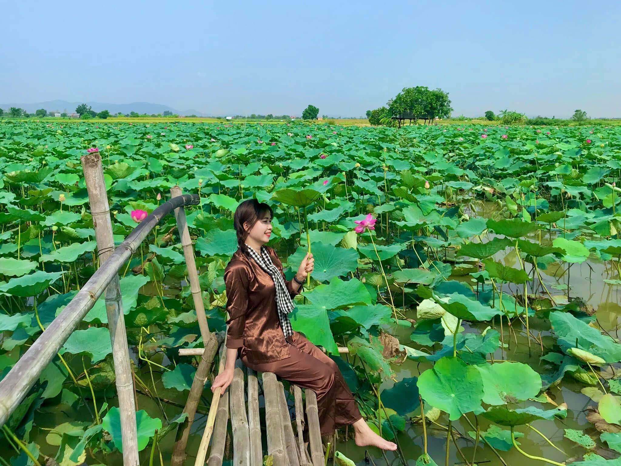 Phu Thien의 Lotus Fields