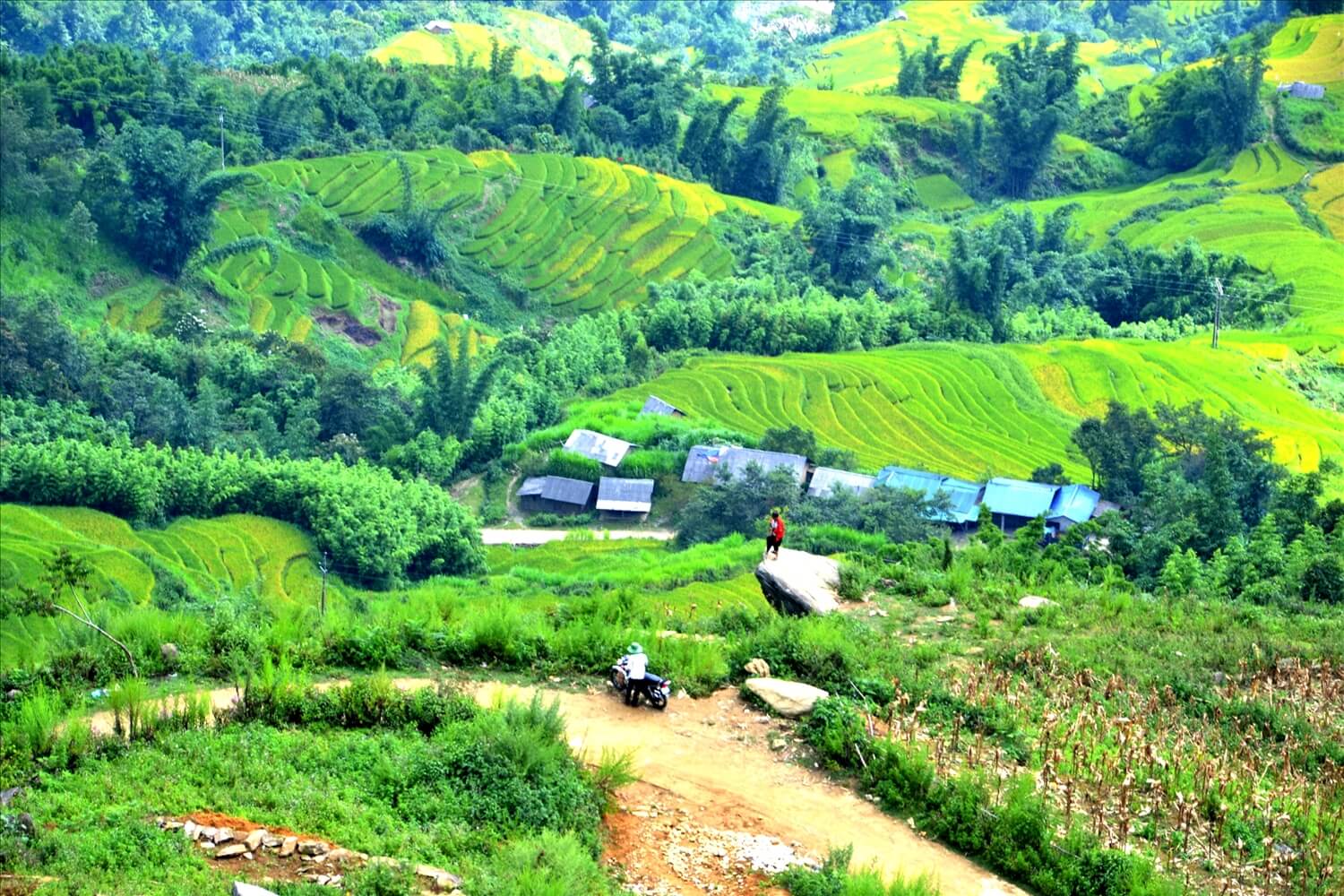 Bản Ngải Thầu Thượng