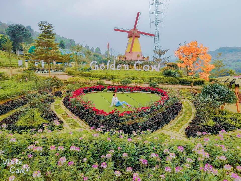 Nông trại Golden Cow sở hữu khung cảnh tuyệt đẹp với những vườn hoa khoe sắc, những tiểu cảnh tuyệt đẹp khiến các tín đồ du lịch mê mẩn