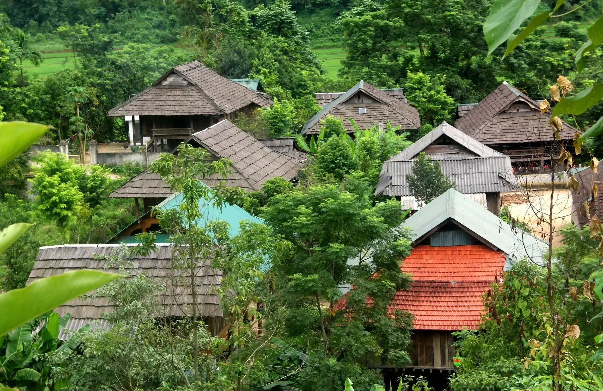 Khu Bảo tồn làng nhà sàn dân tộc sinh thái Thái Hải