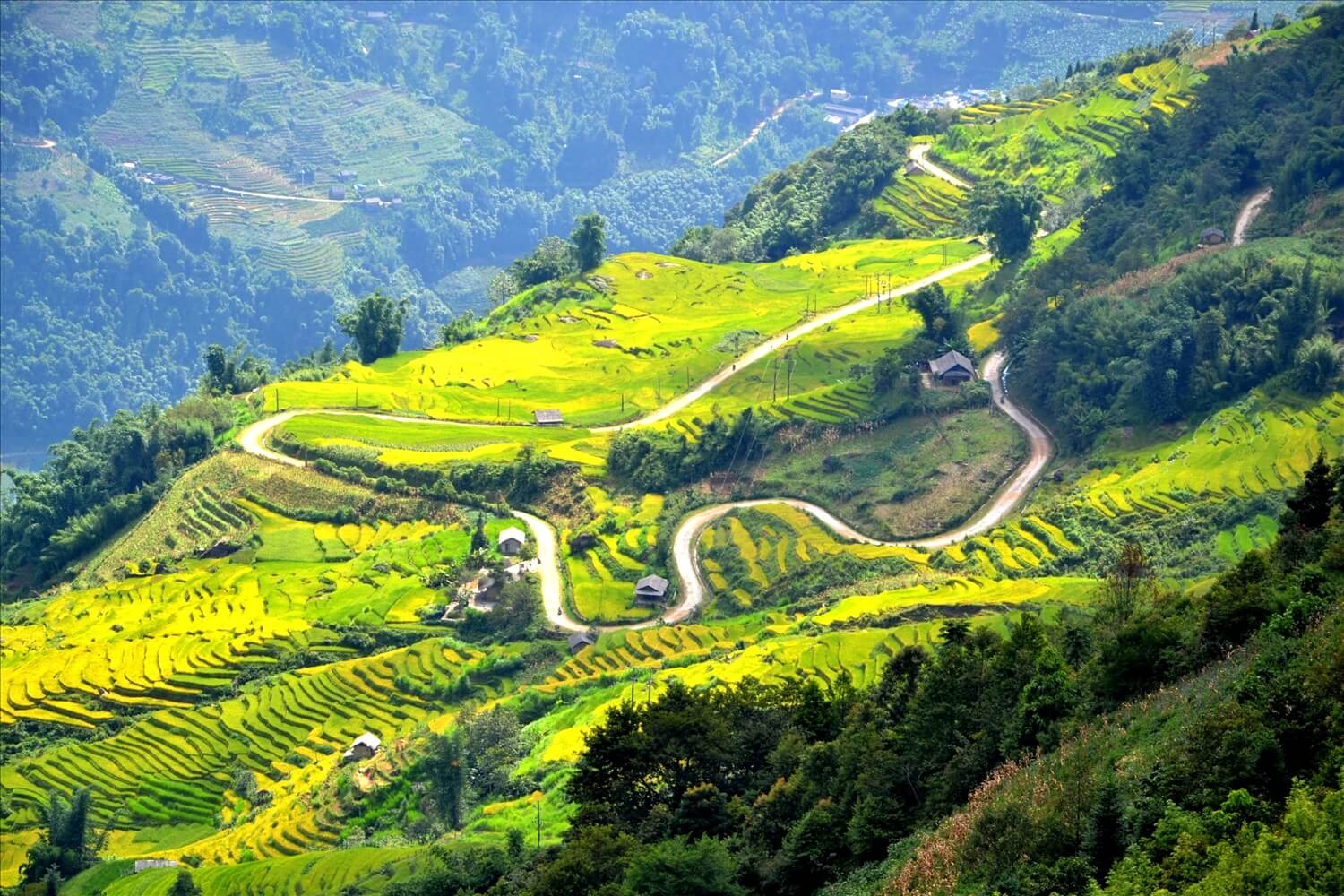 Bản Ngải Thầu Thượng