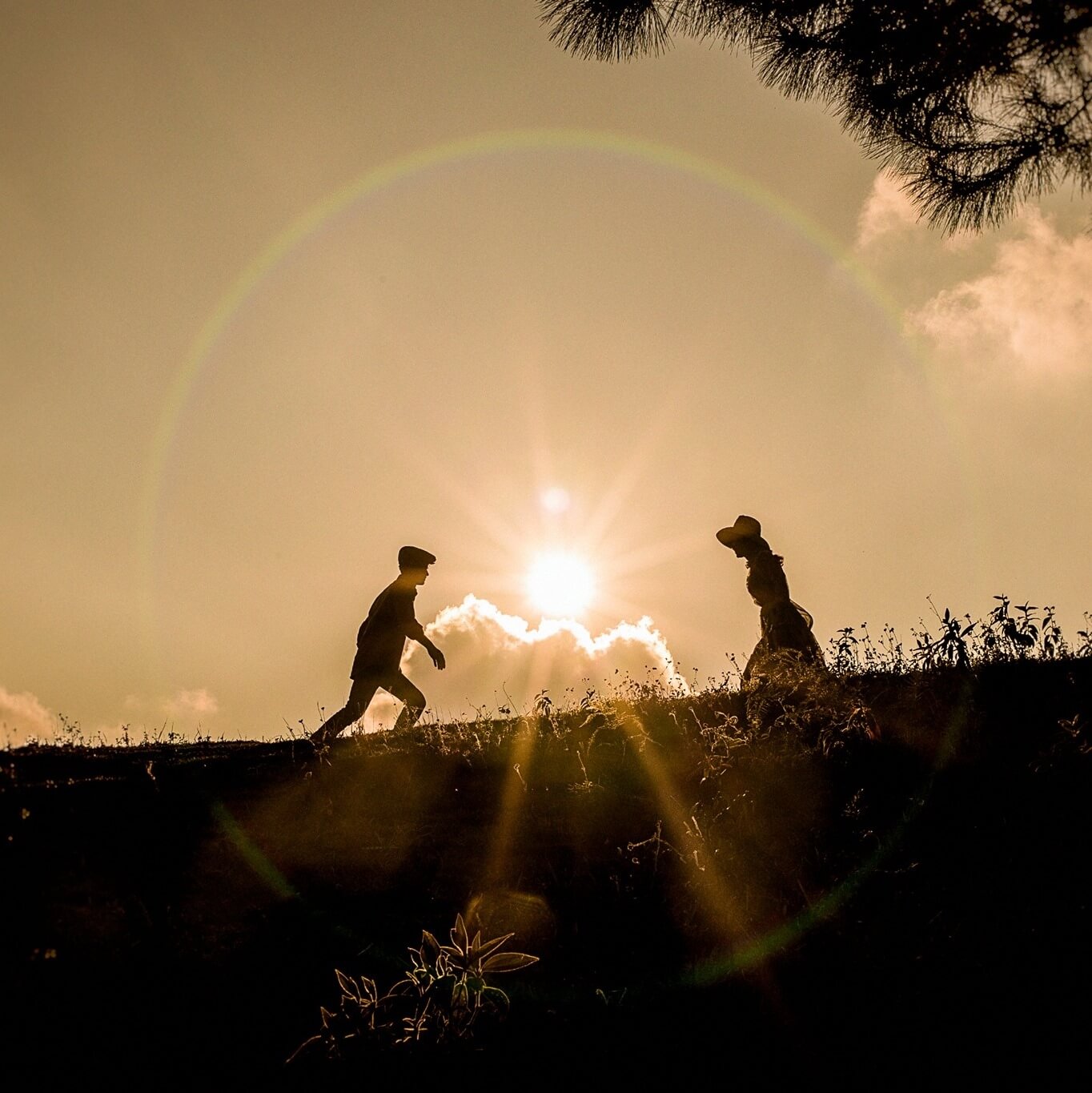 Rừng thông Hua Tạt