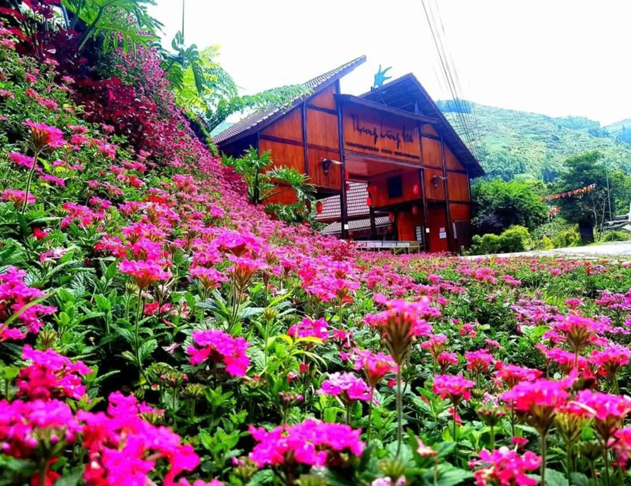 Na Hang tourist area