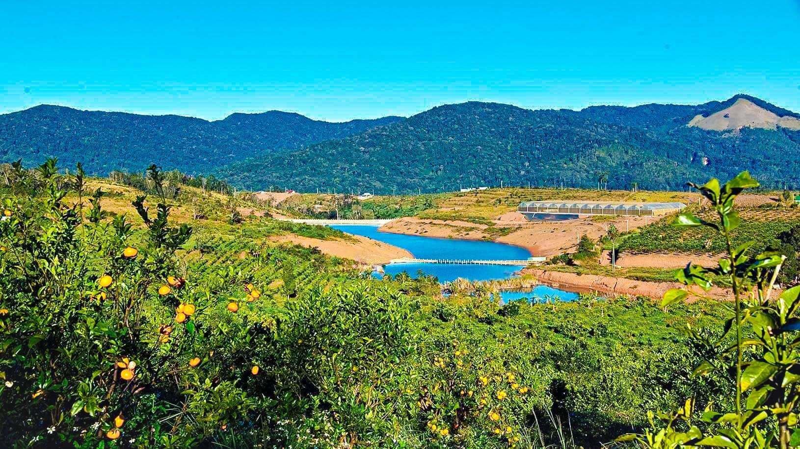 Vườn cam Orfarm Măng Đen cách không quá xa khu farm công nghệ cao Măng Đen.