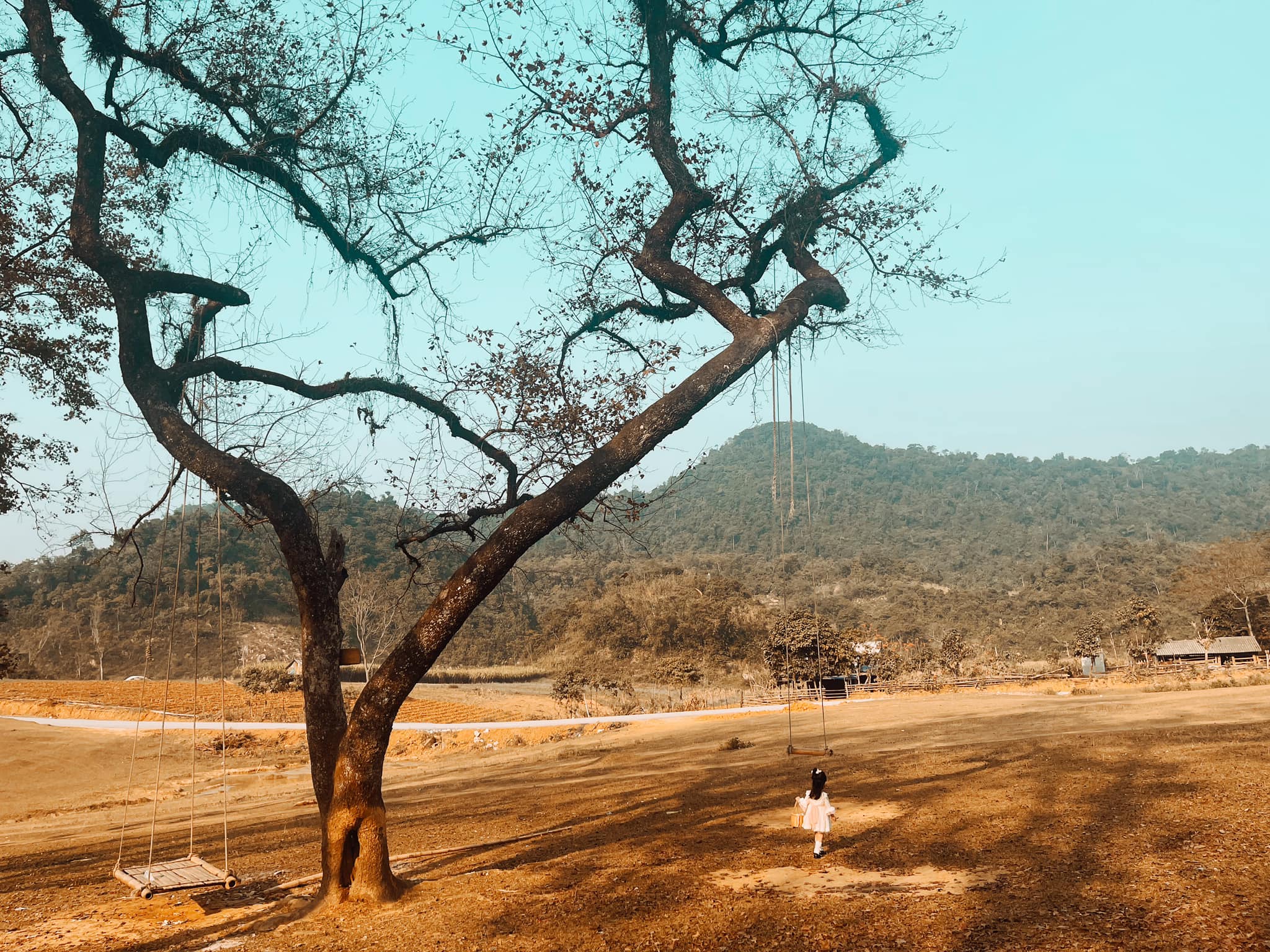 Bui Lac Son Hoa Binh Beachは、街の騒音を逃れ、自然を見つけたい人にとって理想的な目的地です