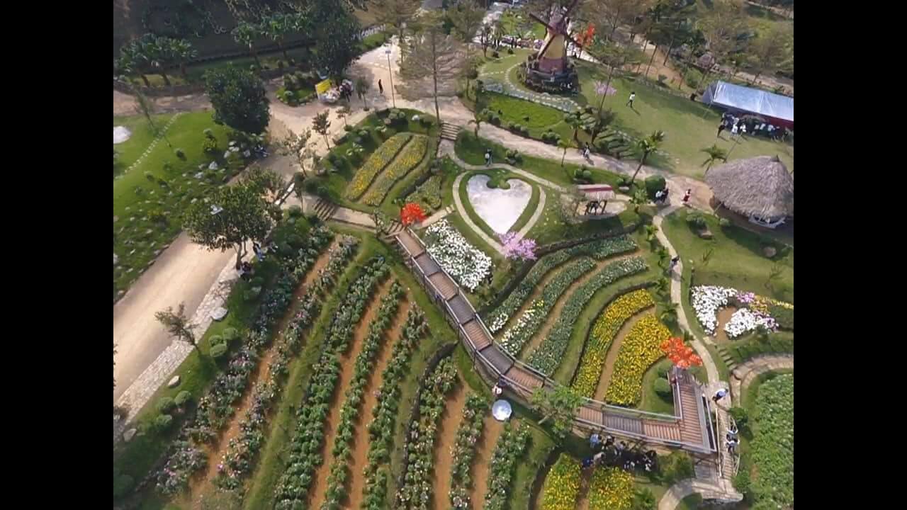 Nông trại nằm cách trung tâm thành phố Thanh Hóa 60km.