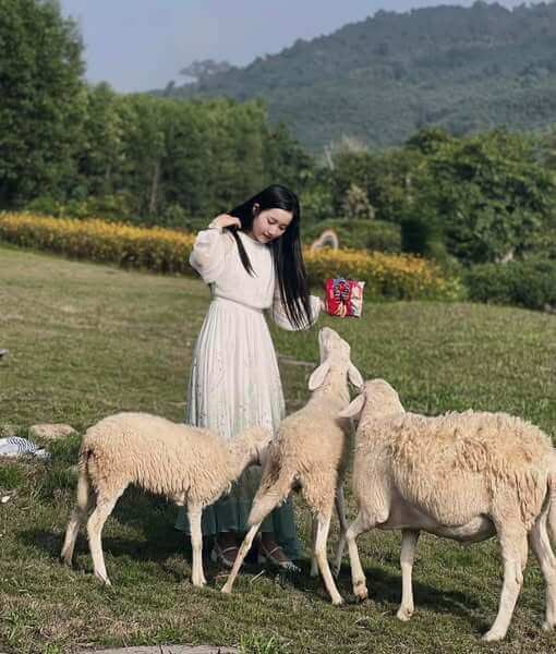 Thung lũng Hoa Phủ Quỳ