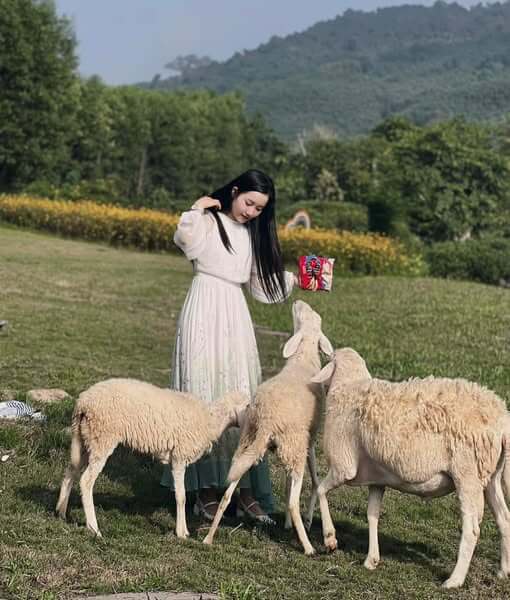 特にどのポジションでも、訪問者はユニークなチェックインも見つけることができます。