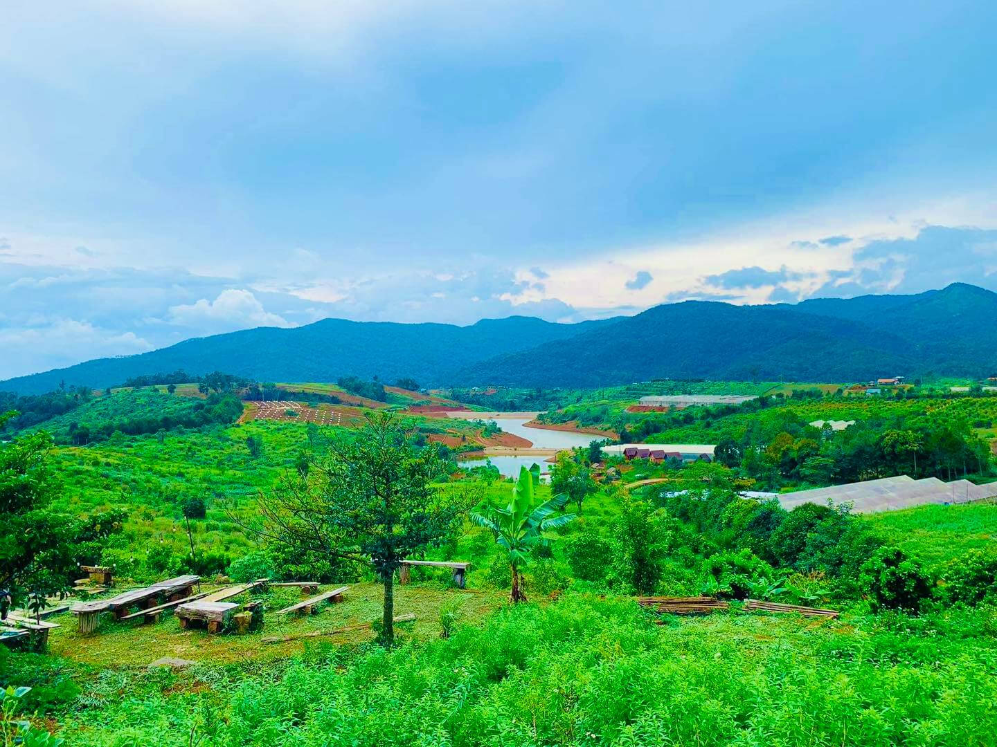 Vườn cam Orfarm Măng Đen