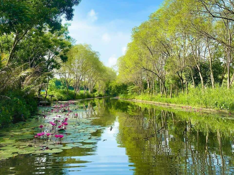 김 손 풍경 지역