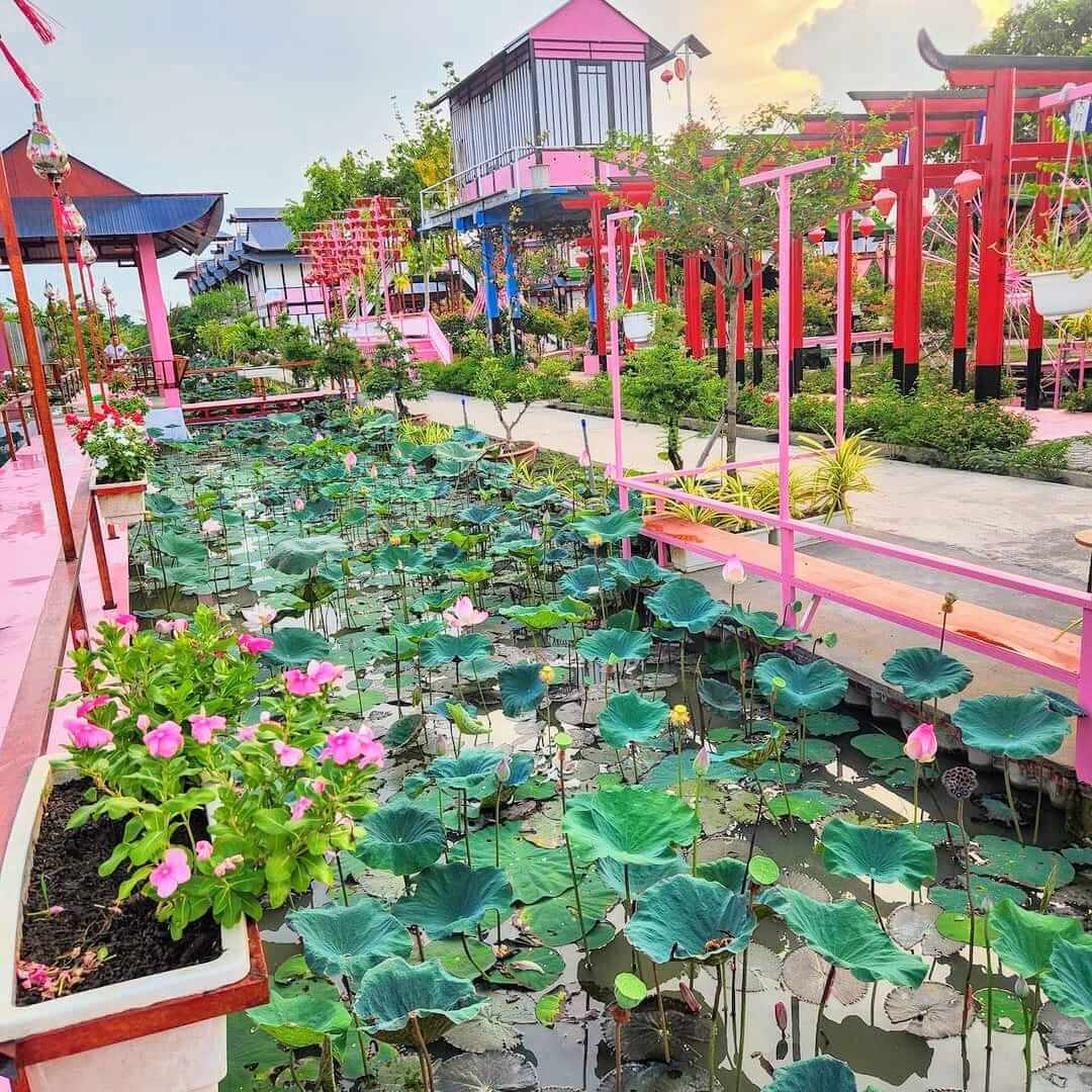 Pink House nằm ngay tại trung tâm Làng hoa Sa Đéc, thuộc ấp Khánh Hòa, xã Tân Khánh Đông