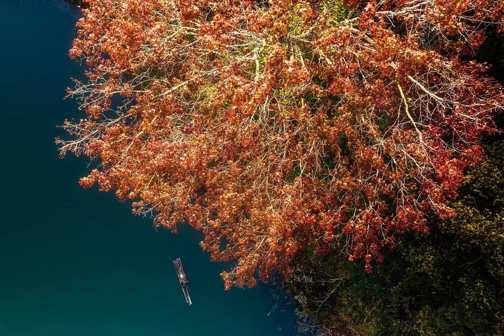 空、湖、平和で新鮮な自然の空間の組み合わせの前に、ヨーロッパの湖のような印象的なシーンが存在しています。