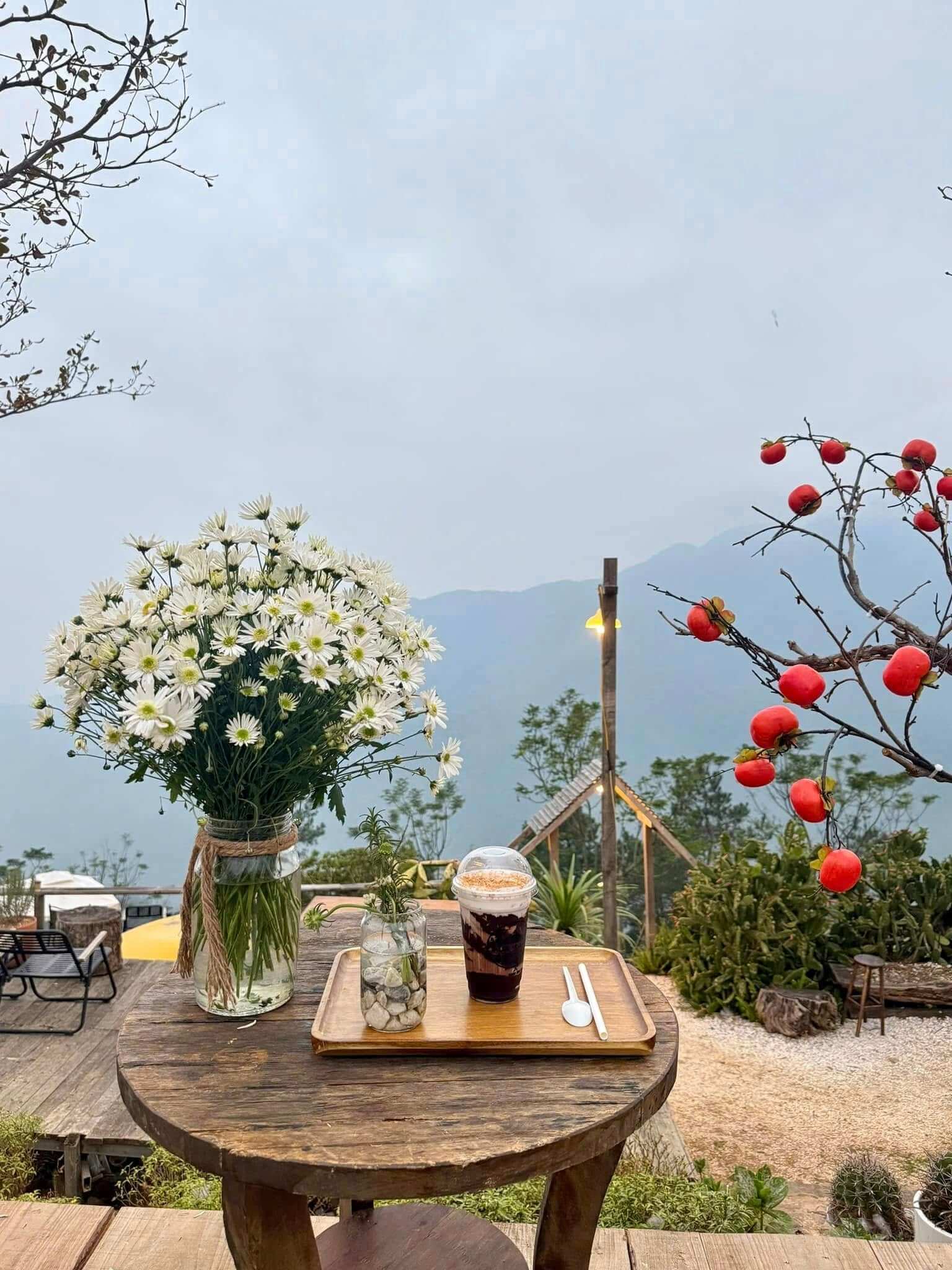 Lala Land Tam Đảo