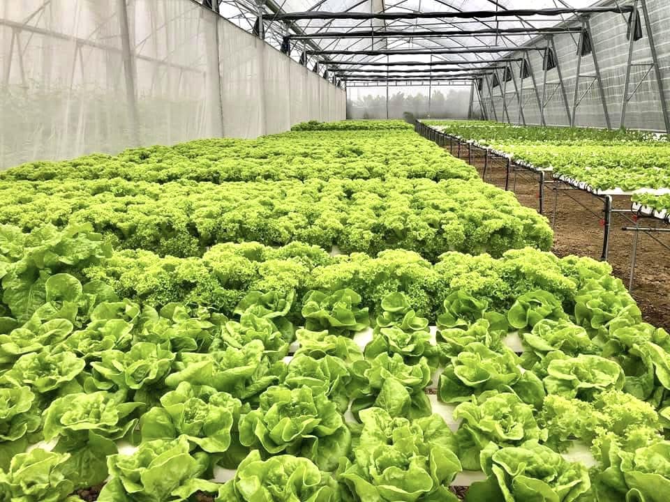 엔 트렁크 관광 마을