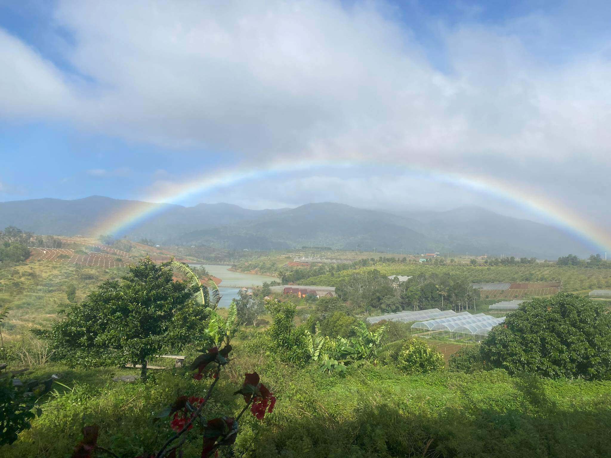 Orfarm Mang Den Orange Garden
