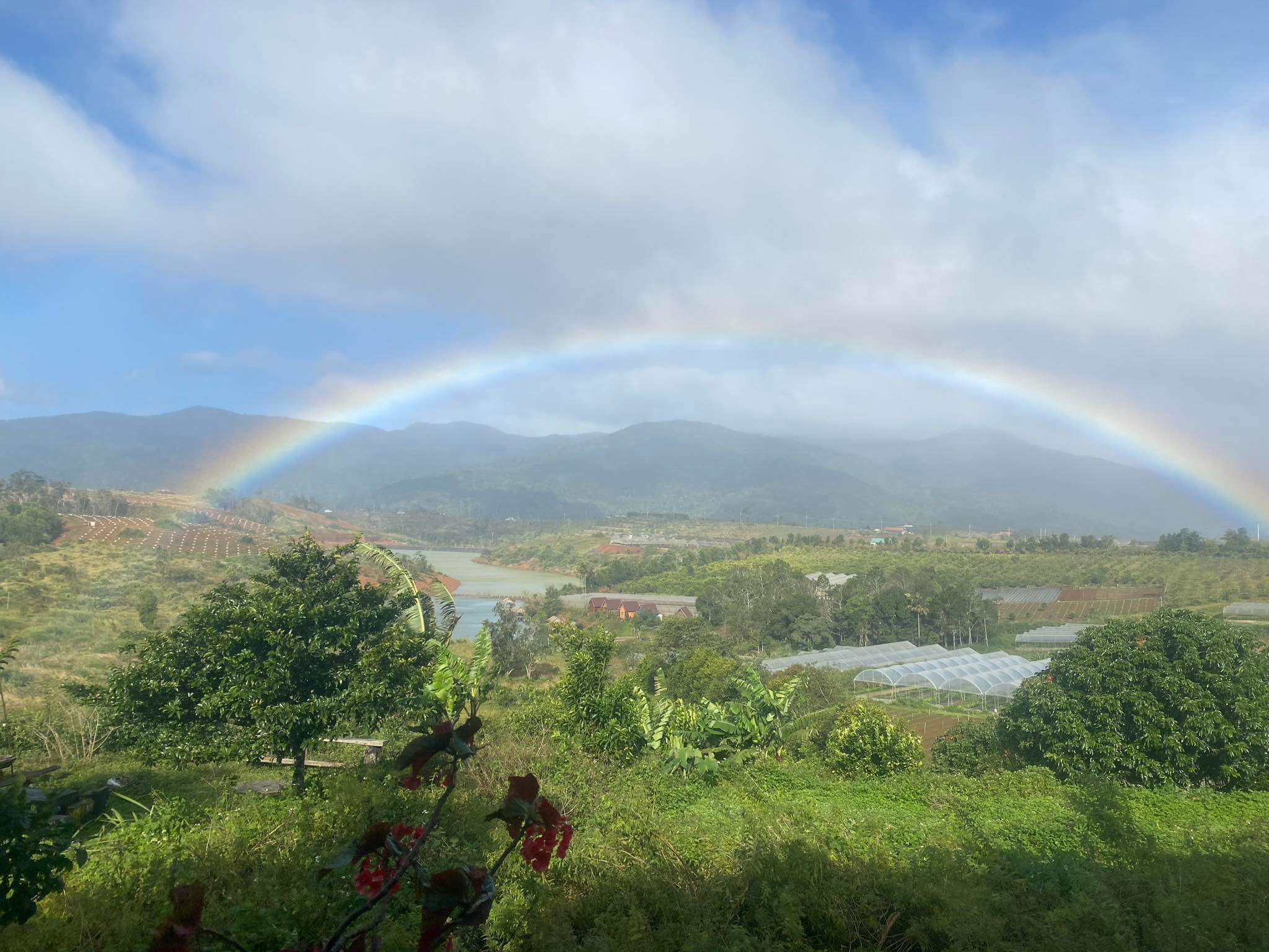 Vườn cam Orfarm Măng Đen có điểm check in vô cùng độc đáo