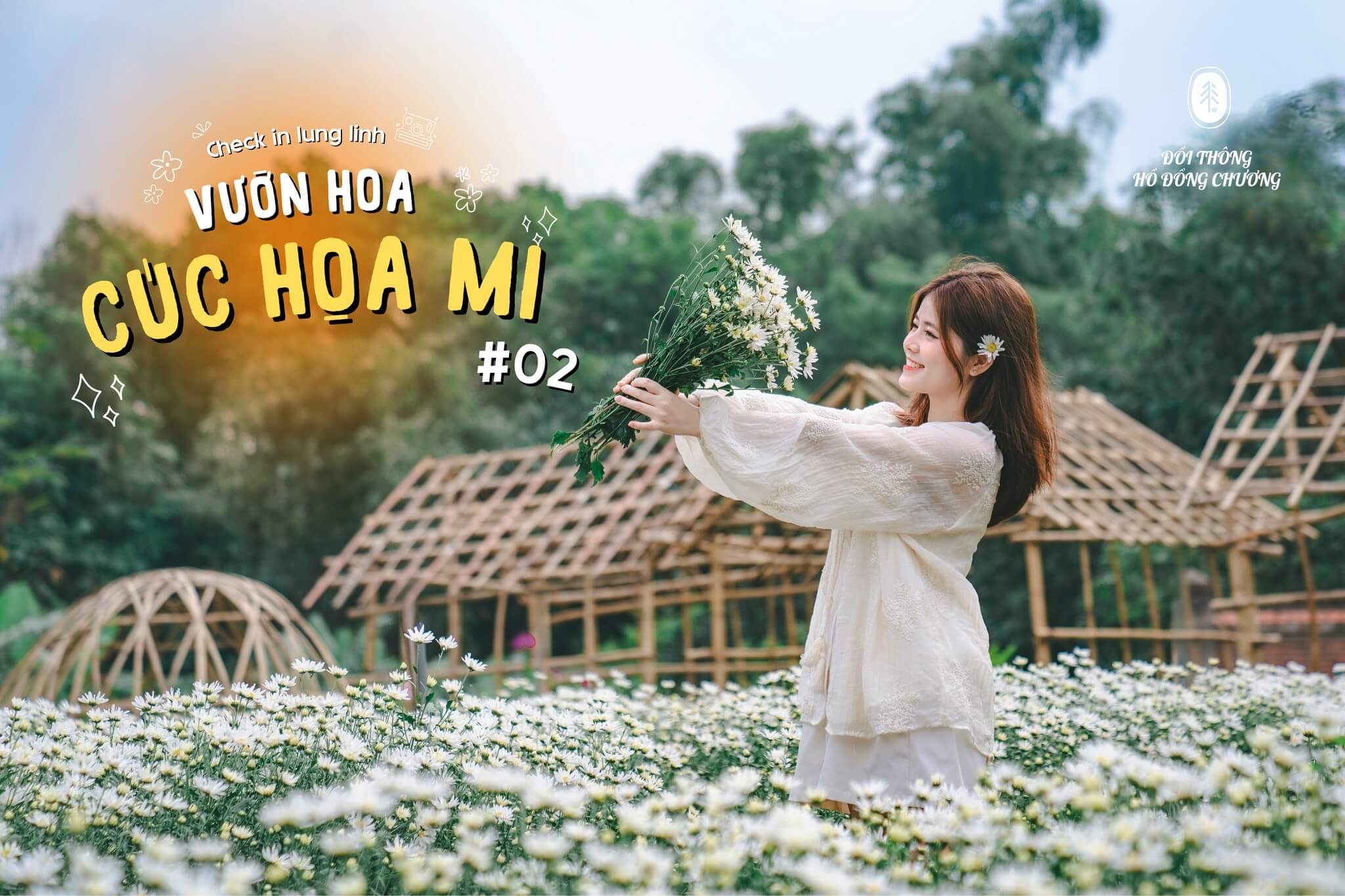 Đồi thông hồ Đồng Chương