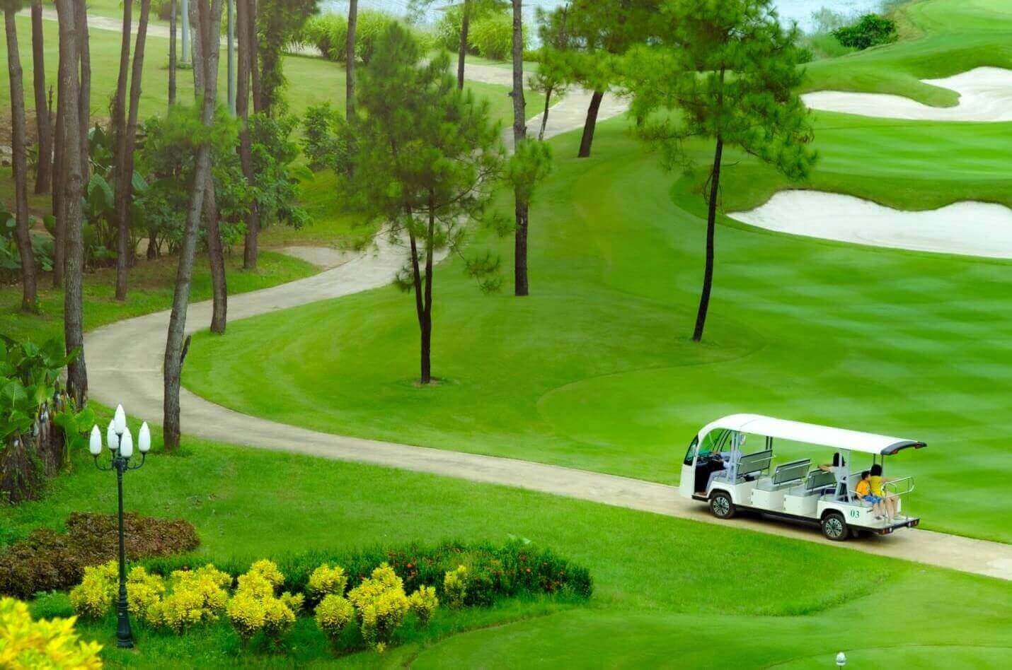 Đồi thông hồ Đồng Chương