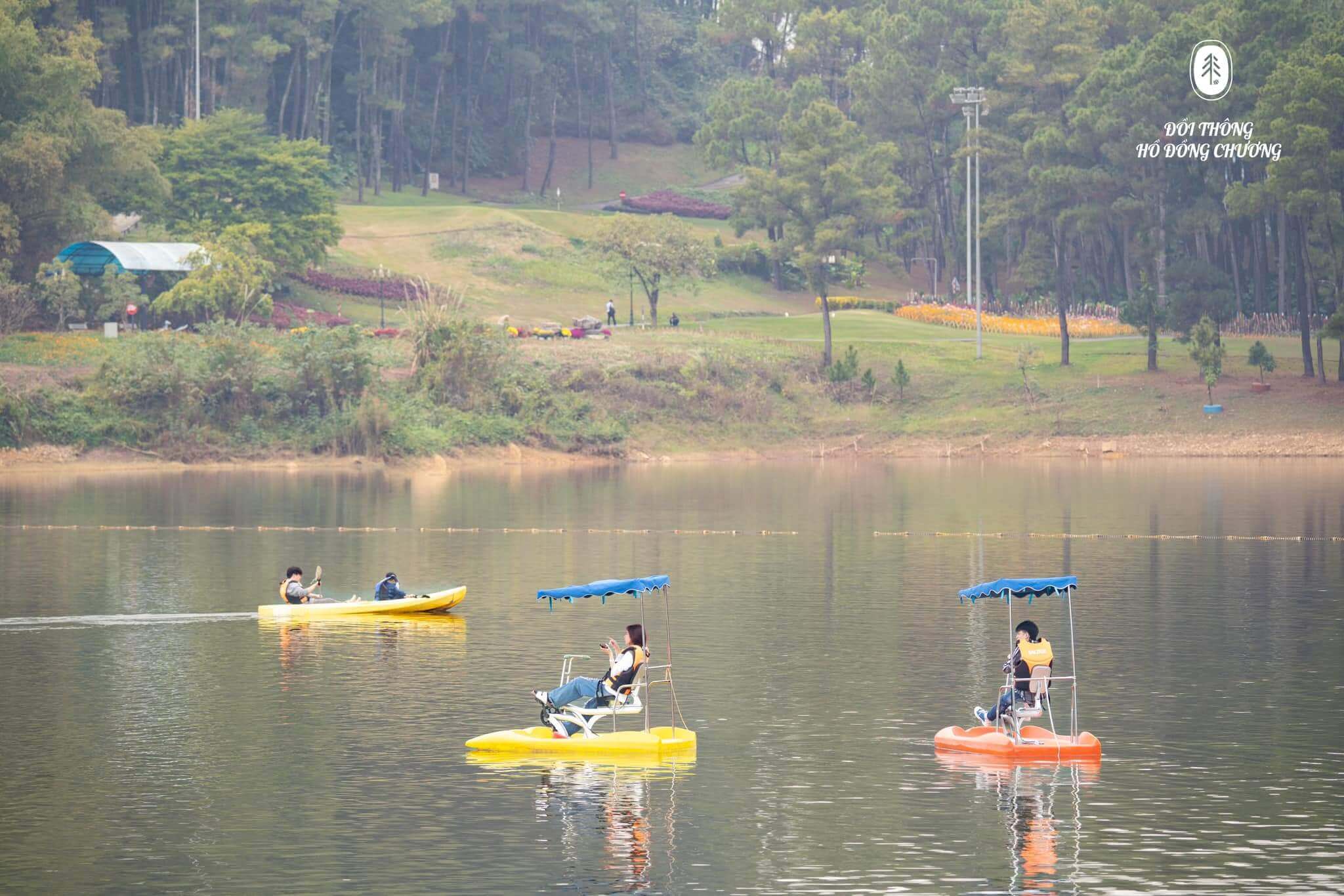 Đồi thông hồ Đồng Chương