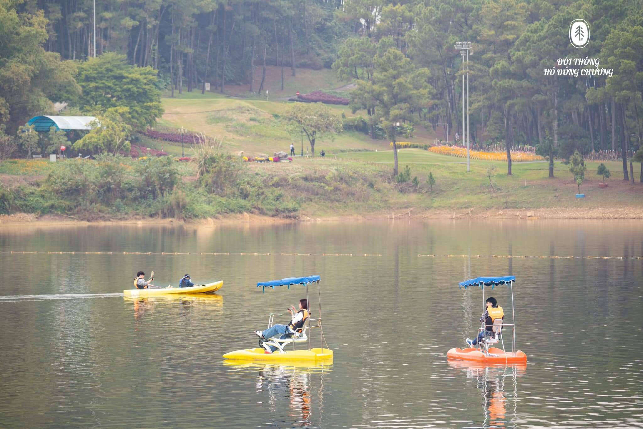 Đồi thông hồ Đồng Chương