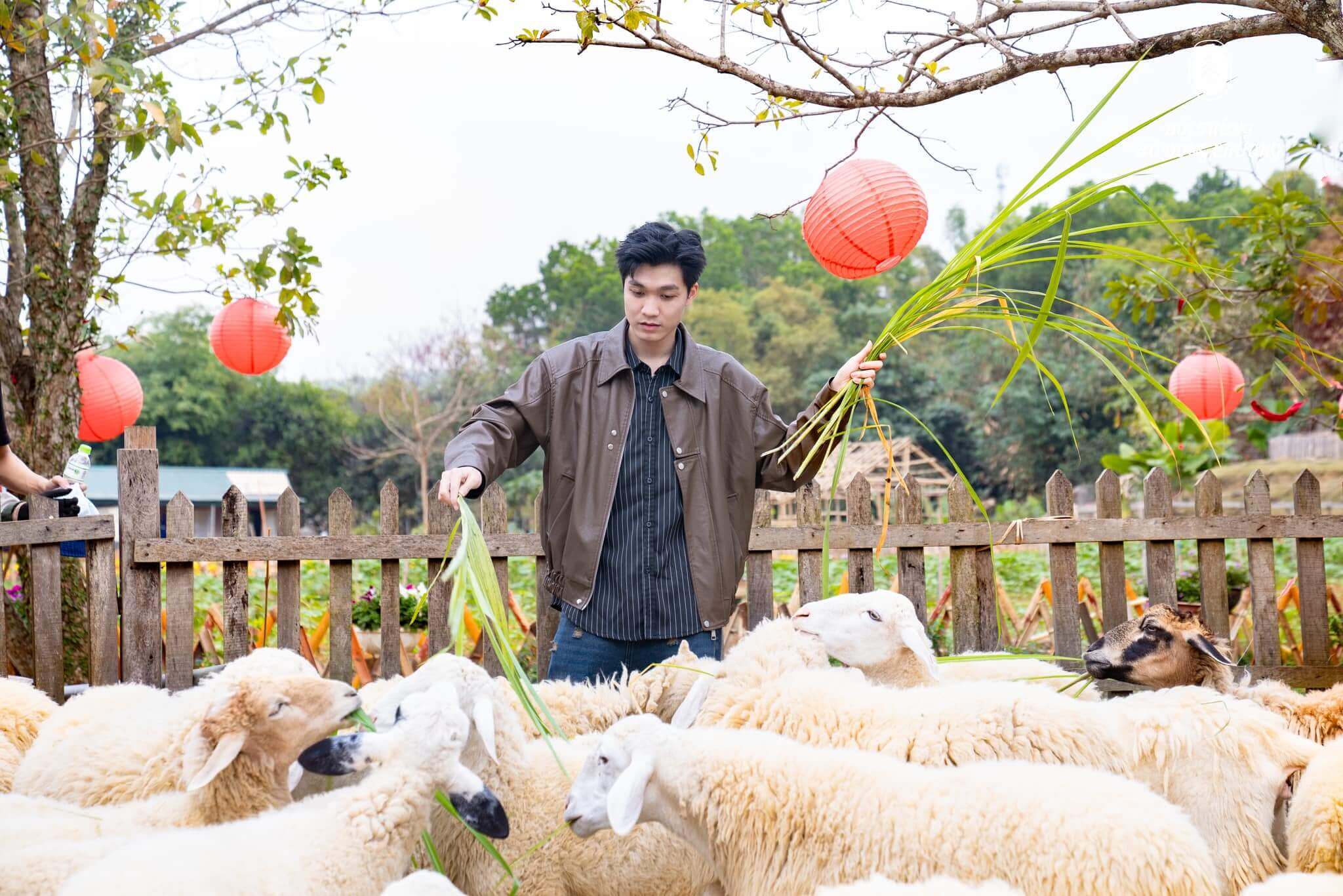 Đồi thông hồ Đồng Chương