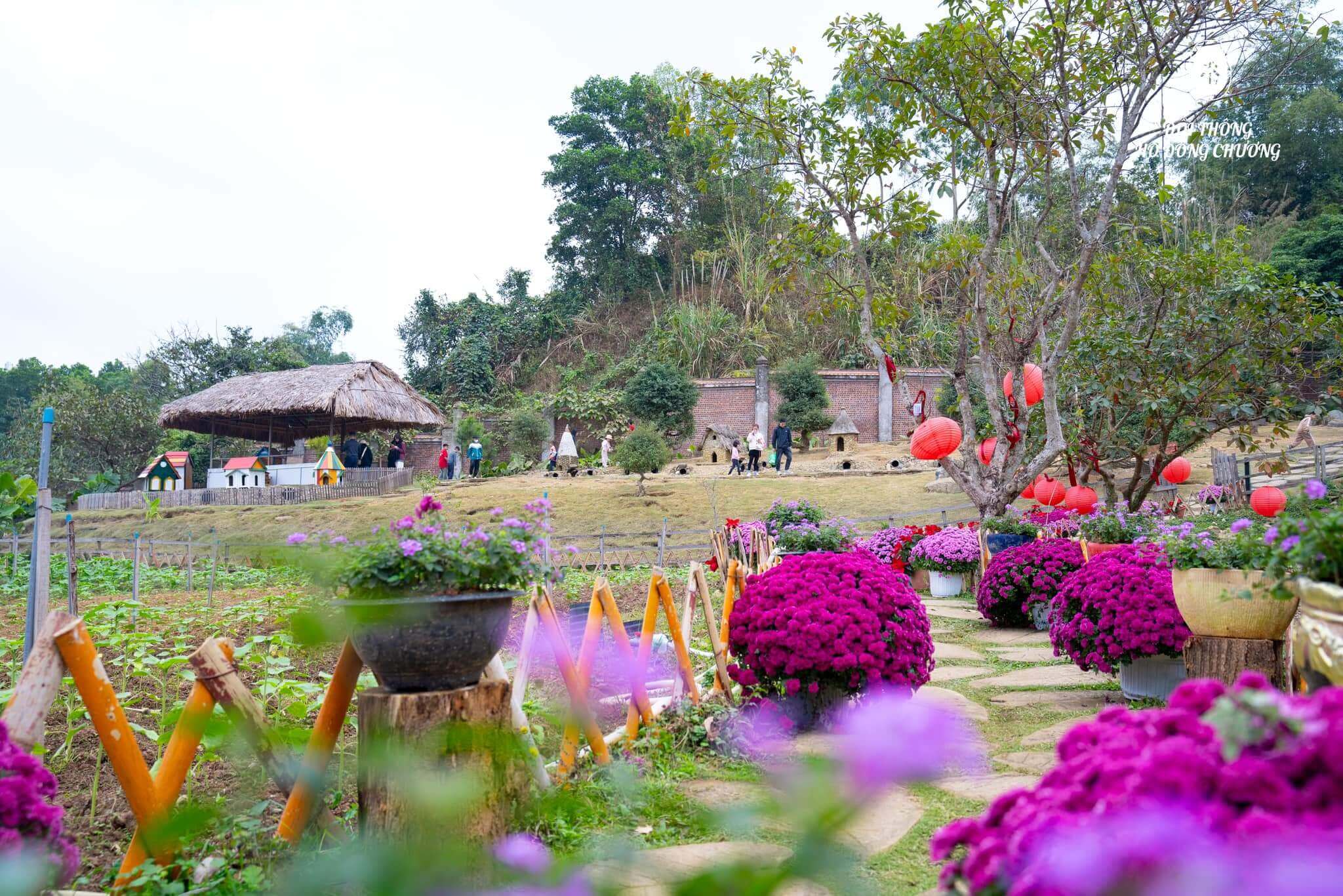 Đồi thông hồ Đồng Chương