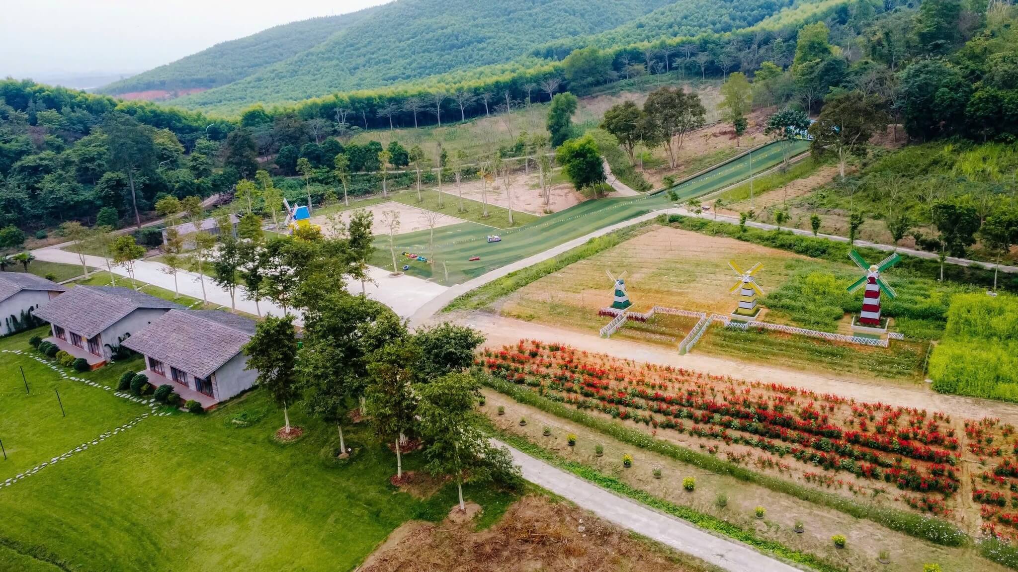 写真の中心は、周囲の花のある広大で澄んだ湖です。