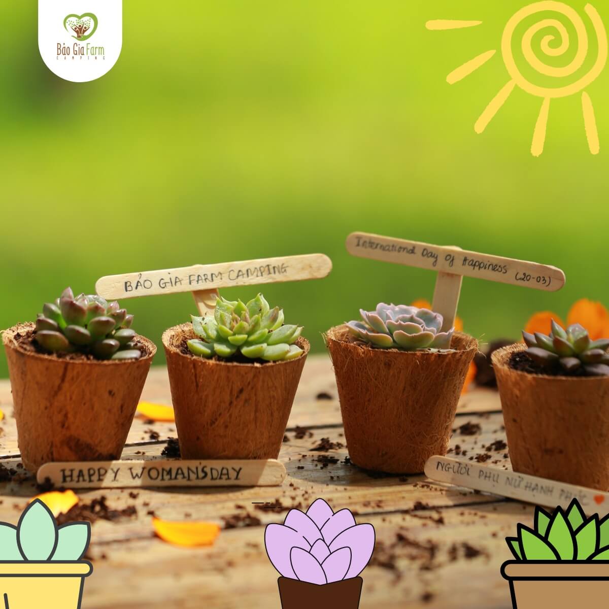 農場キャンプバオジアモデルは現在、チャウタン地区のドンタンコミューンにあります。