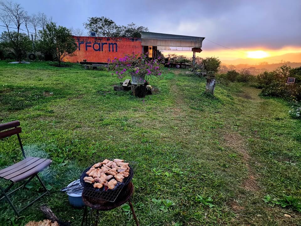 Orfarm trải rộng trên diện tích 7 hecta với hàng ngàn cây cam canh và nhiều loại hoa khác như hoa hồng và hoa cúc.